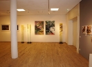 Beda-Haus Neue Galerie 2013 II
