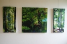 Ausstellungen