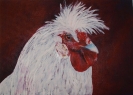 Tiere